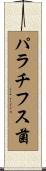 パラチフス菌 Scroll