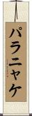 パラニャケ Scroll