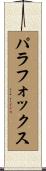 Palafox Scroll