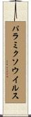 パラミクソウイルス Scroll