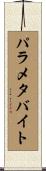 パラメタ・バイト Scroll