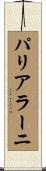 パリアラーニ Scroll