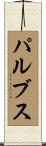 パルブス Scroll