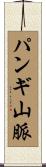 パンギ山脈 Scroll