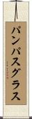 パンパスグラス Scroll