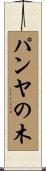 パンヤの木 Scroll