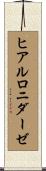 ヒアルロニダーゼ Scroll