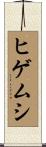 ヒゲムシ Scroll
