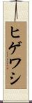 ヒゲワシ Scroll