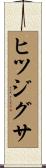 ヒツジグサ Scroll