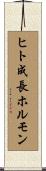 ヒト成長ホルモン Scroll
