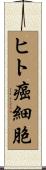 ヒト癌細胞 Scroll