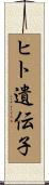 ヒト遺伝子 Scroll