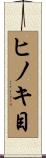 ヒノキ目 Scroll