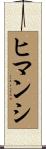Himanshi Scroll