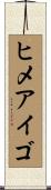 ヒメアイゴ Scroll