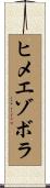 ヒメエゾボラ Scroll