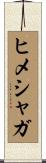 ヒメシャガ Scroll