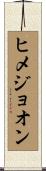 ヒメジョオン Scroll
