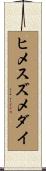 ヒメスズメダイ Scroll
