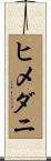 ヒメダニ Scroll