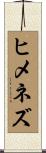 Jimenez Scroll