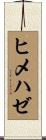 ヒメハゼ Scroll