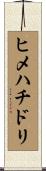 ヒメハチドリ Scroll