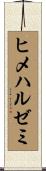 ヒメハルゼミ Scroll