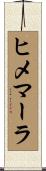 ヒメマーラ Scroll