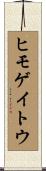 ヒモゲイトウ Scroll