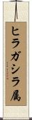 ヒラガシラ属 Scroll
