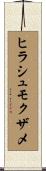 ヒラシュモクザメ Scroll
