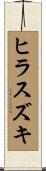 ヒラスズキ Scroll