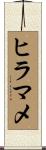 ヒラマメ Scroll