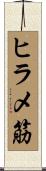 ヒラメ筋 Scroll