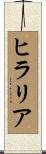ヒラリア Scroll