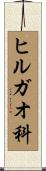 ヒルガオ科 Scroll