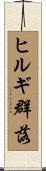 ヒルギ群落 Scroll