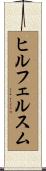 ヒルフェルスム Scroll