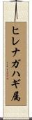ヒレナガハギ属 Scroll