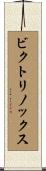 ビクトリノックス Scroll