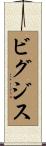 ビグジス Scroll
