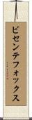 ビセンテフォックス Scroll