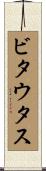 ビタウタス Scroll