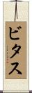ビタス Scroll