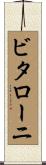 ビタローニ Scroll