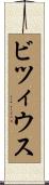 ビツィウス Scroll