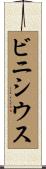 ビニシウス Scroll
