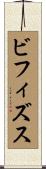 ビフィズス Scroll